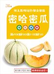 哈密瓜海报