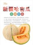哈密瓜海报