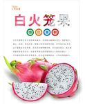 火笼果海报