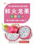 火龙果海报