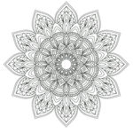 古典花纹