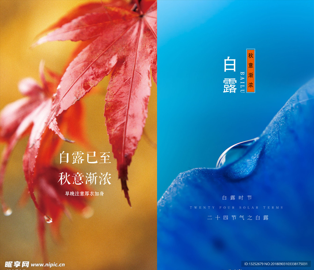 白露