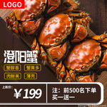 大闸蟹主图