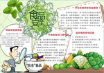 安全小报