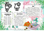 夏天小报