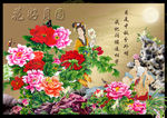 牡丹花