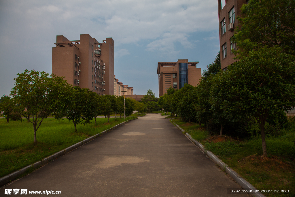 景德镇陶瓷大学