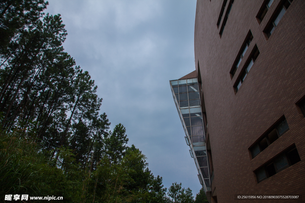 景德镇陶瓷大学