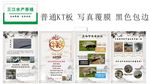 生态甲鱼 宣传单页 海报