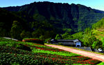 赤水 红岩洞天 深山里的花园