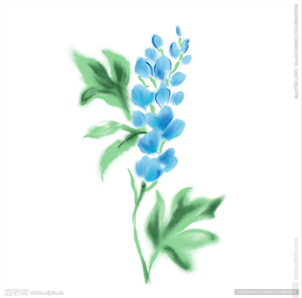 水彩风格花朵