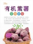紫薯海报
