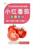 小红番茄海报