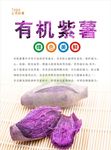 紫薯海报