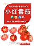 西红柿海报