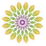 矢量花纹