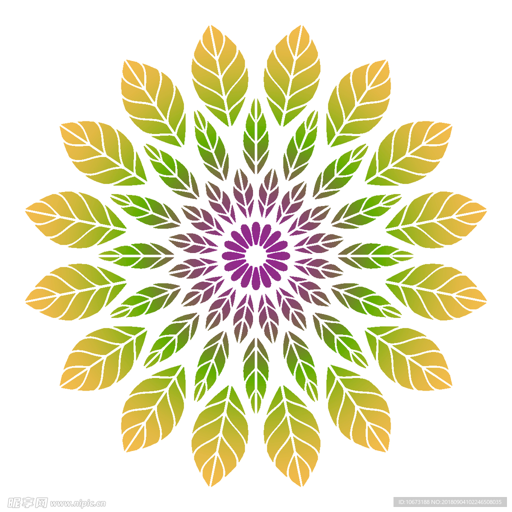 矢量花纹