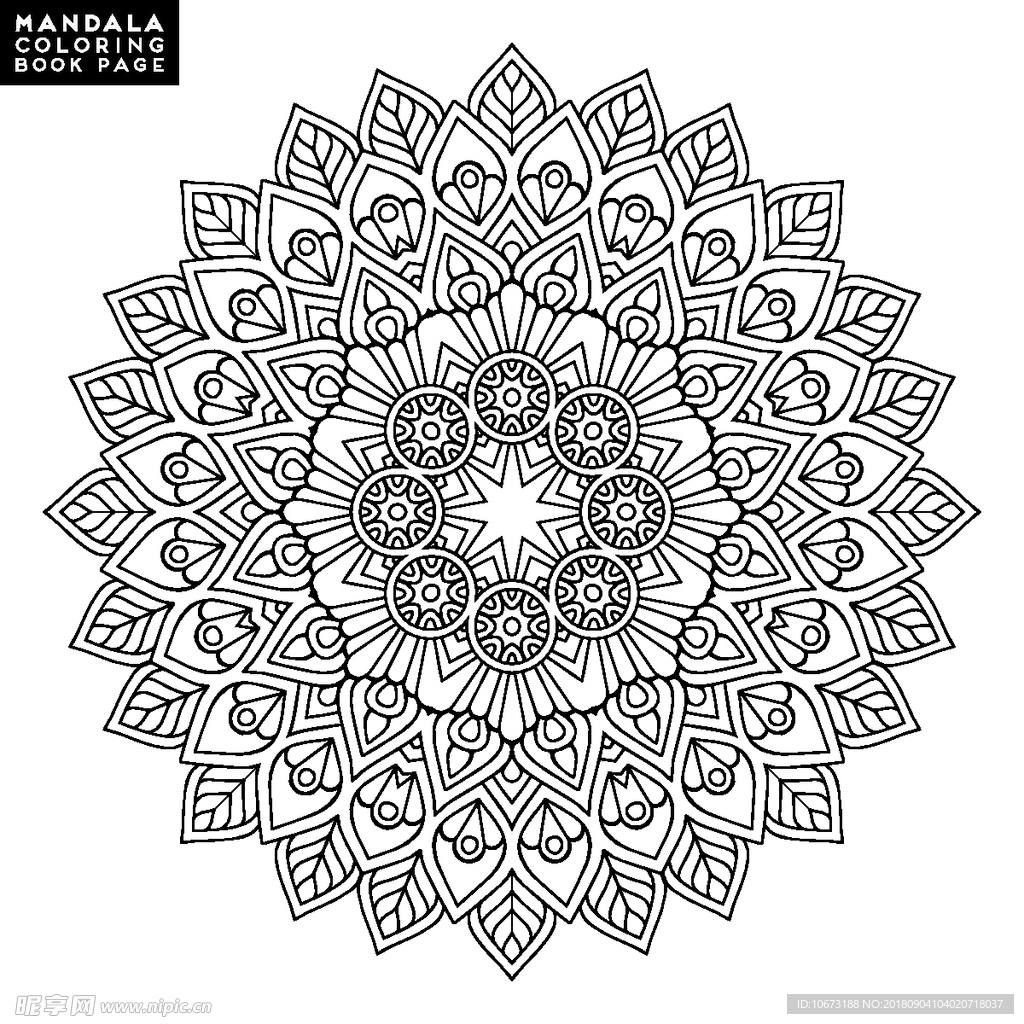矢量花纹