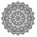矢量花纹