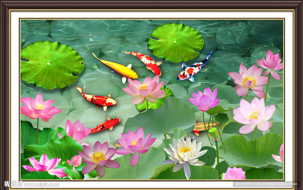 荷花国画