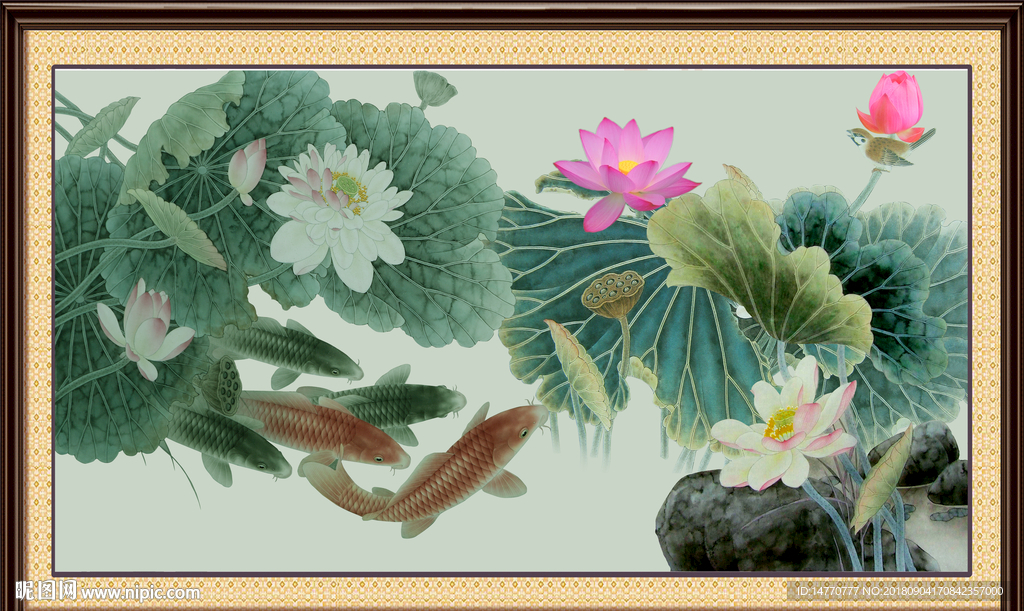 荷花国画
