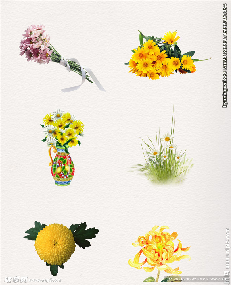 菊花