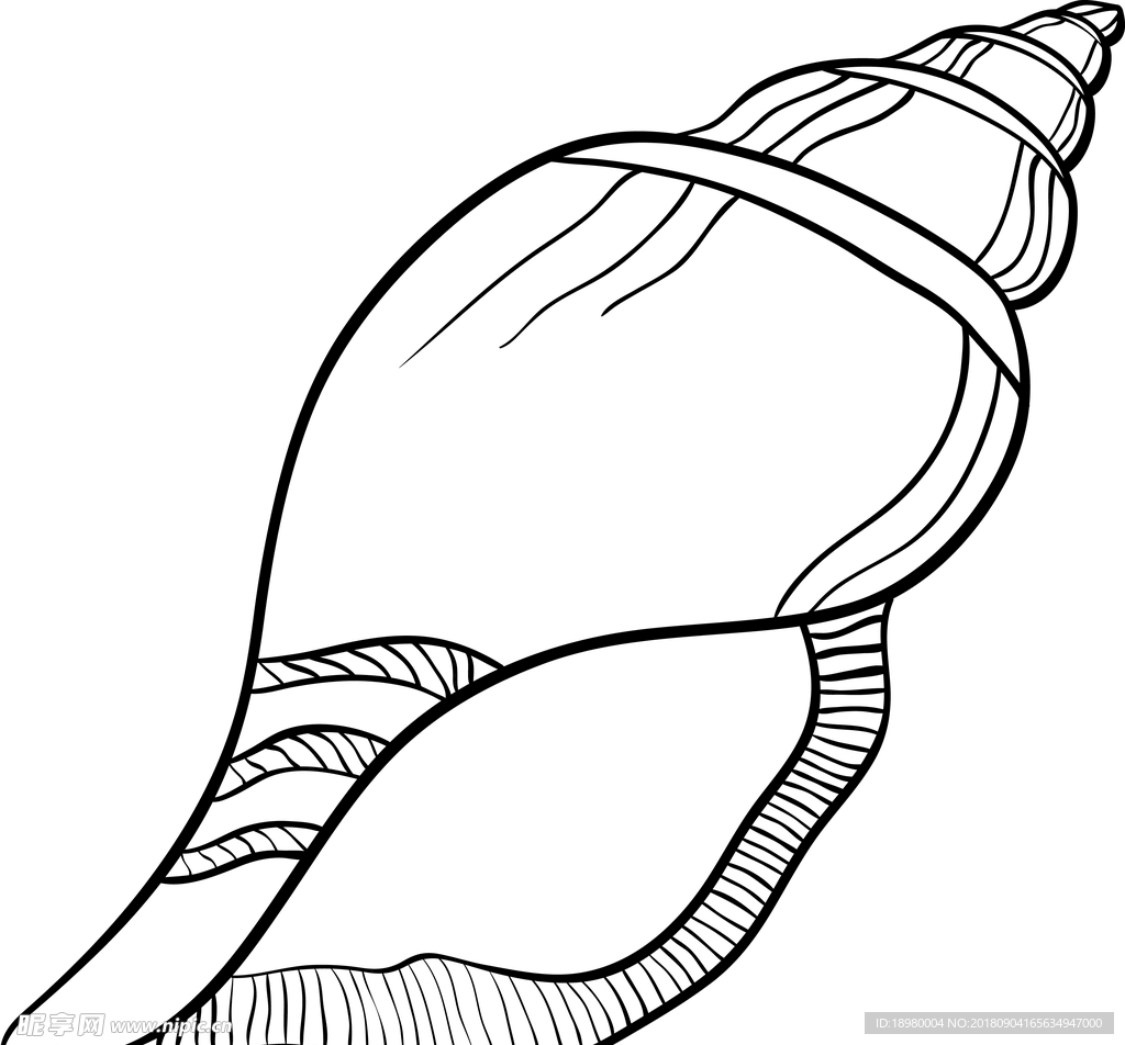 手绘海螺矢量素材-1