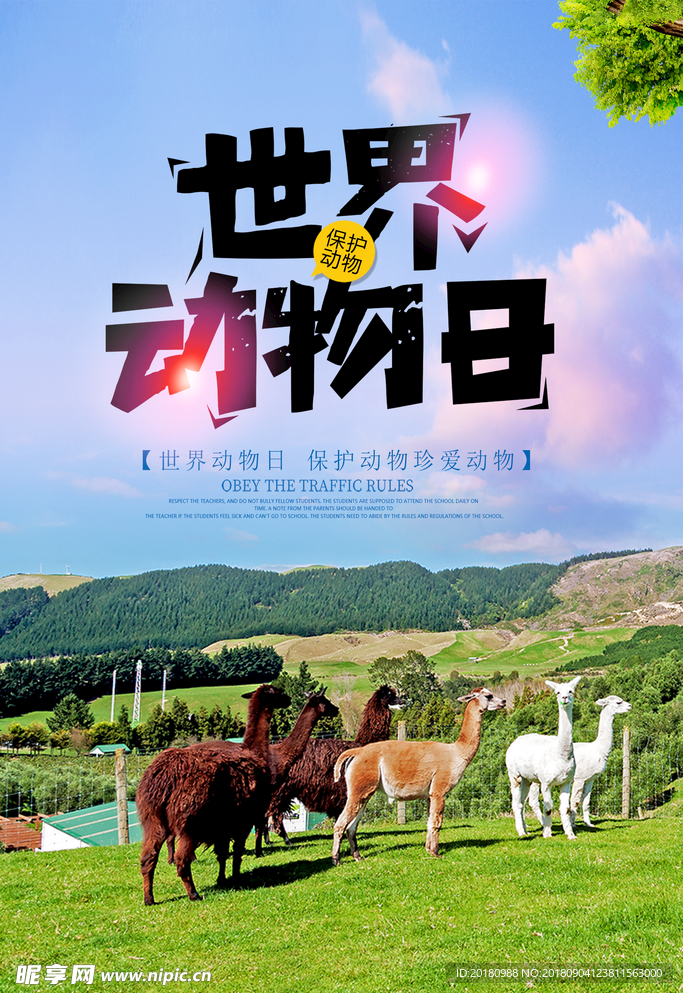世界动物日