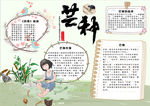 节气小报