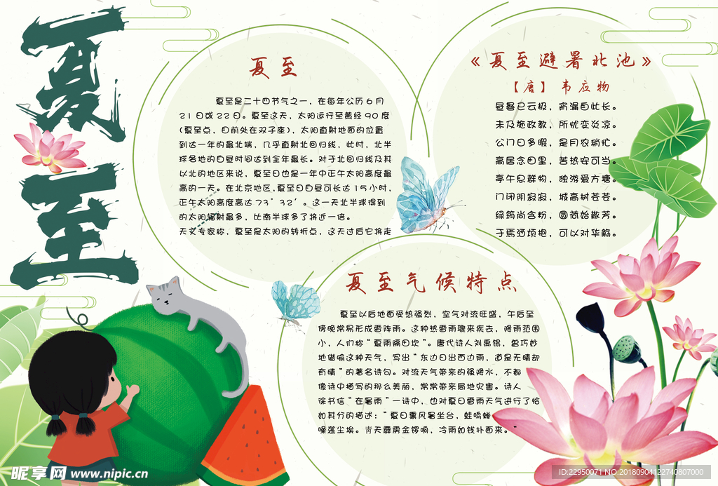 暑假小报