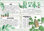 暑假小报