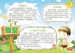 夏天小报