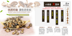 小香菇