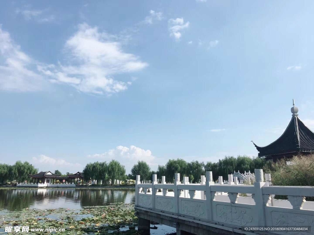 观景