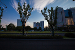黄山市人民政府