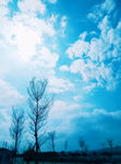 天空
