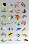 海洋生物海鱼螃蟹