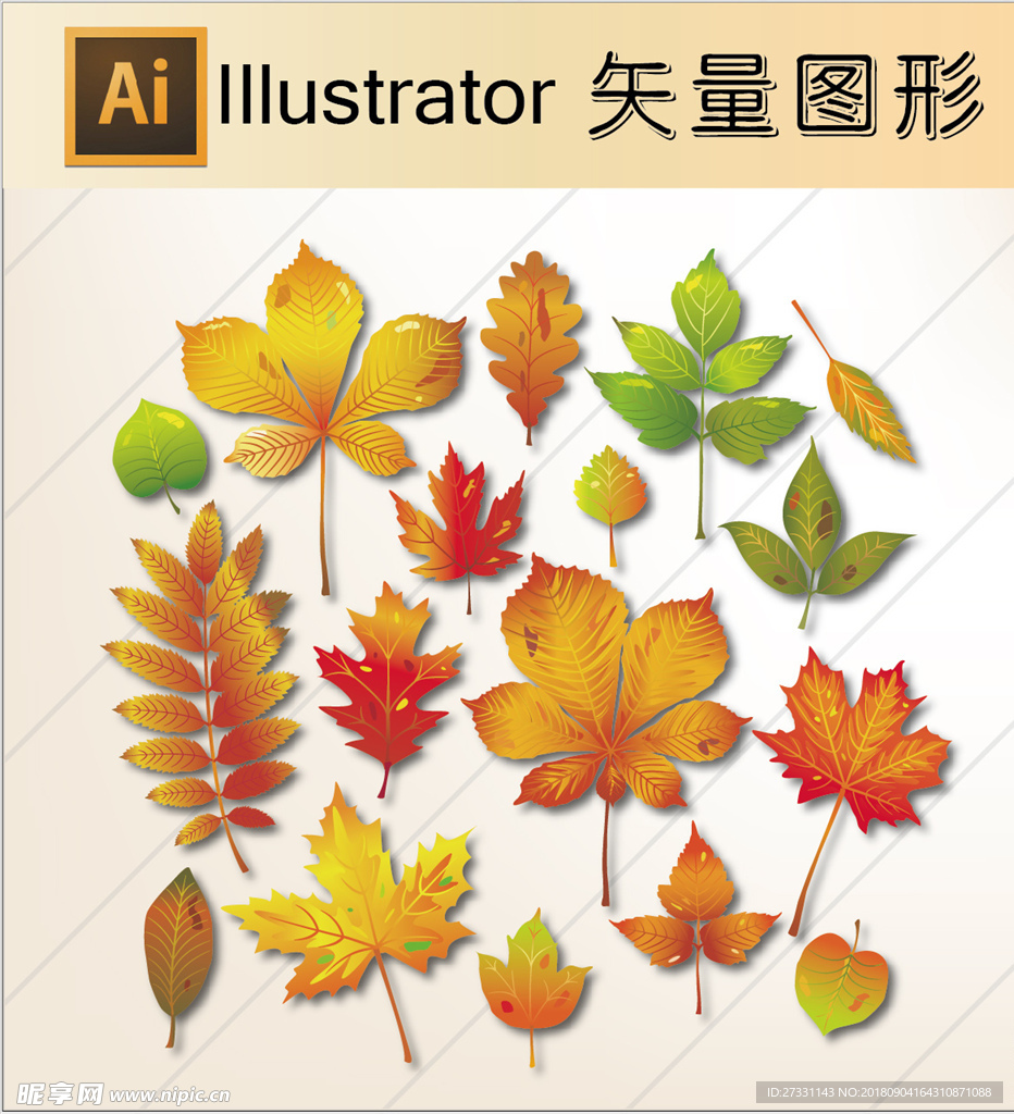 矢量树叶