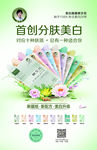 樊文花