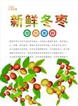 冬枣海报