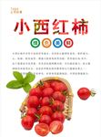 西红柿海报