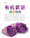 紫薯海报