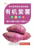 紫薯海报