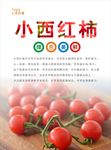 西红柿海报