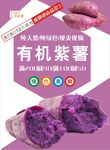 紫薯海报
