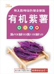 紫薯海报