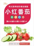 西红柿海报