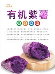 紫薯海报