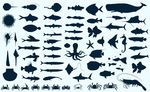 海洋动物 矢量