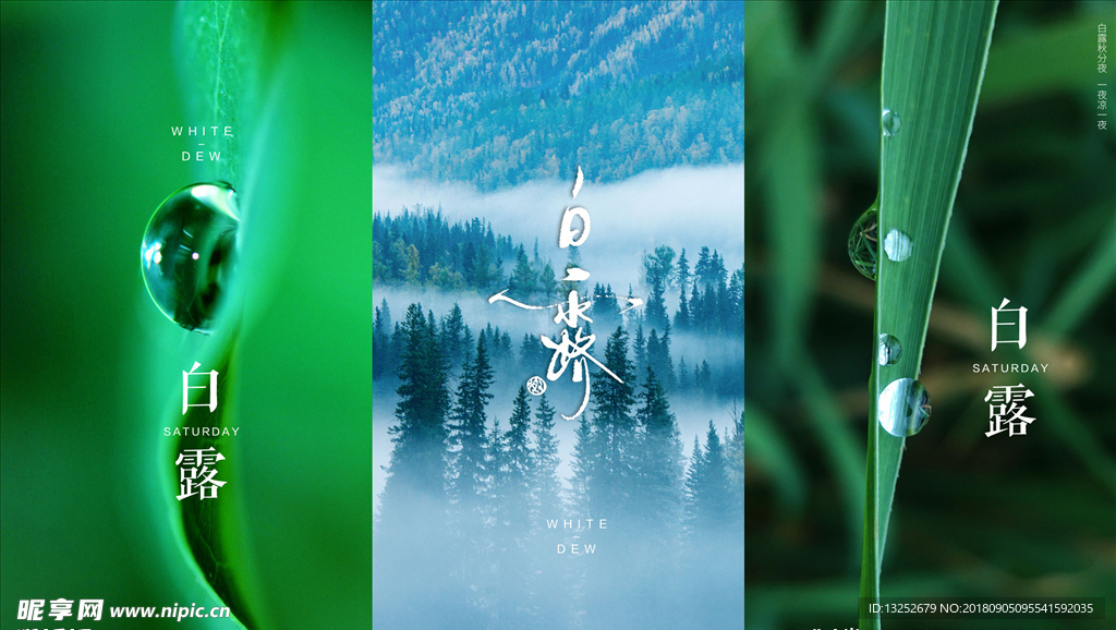 白露